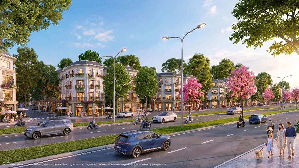 Ảnh minh họa đại lộ nội khu tại khu đô thị Vinhomes